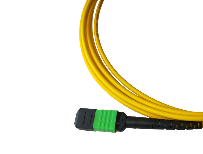 MPO to MPO Fiber Optic Trunk Cable, SM, Low Smoke Zero Halogen (LSZH) Rated, TSB-307A