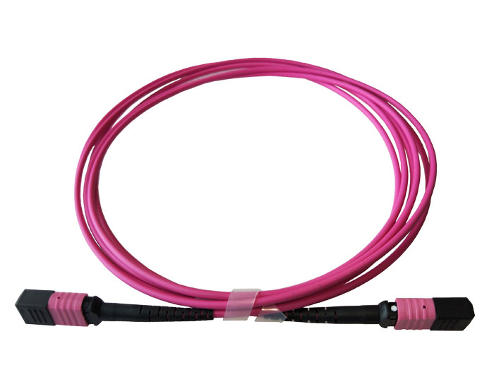 MPO to MPO, OM4 Multimode Fiber Trunk Cable, Low Smoke Zero Halogen (LSZH) Rated TSB-307C