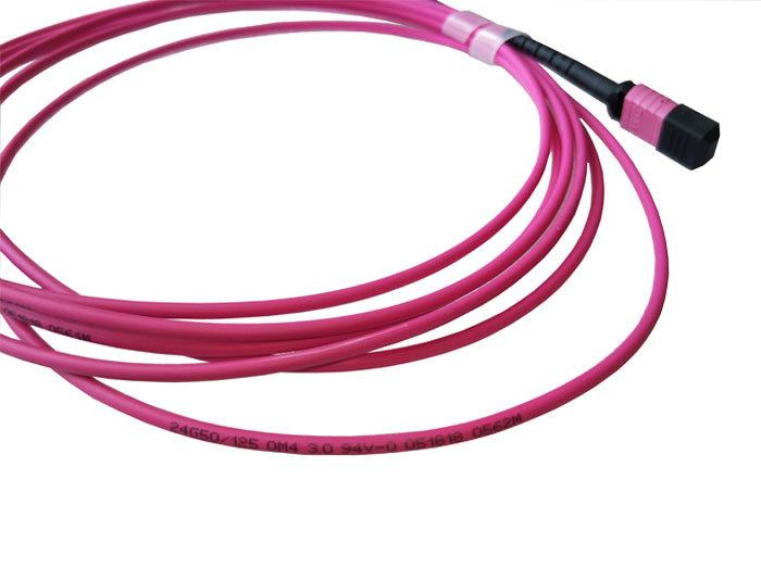 MPO to MPO, OM4 Multimode Fiber Trunk Cable, Low Smoke Zero Halogen (LSZH) Rated TSB-307C
