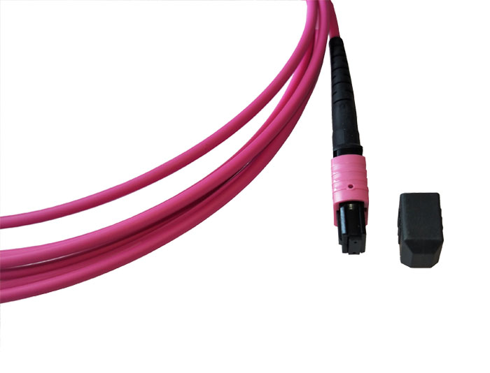 MPO to MPO, OM4 Multimode Fiber Trunk Cable, Low Smoke Zero Halogen (LSZH) Rated TSB-307C