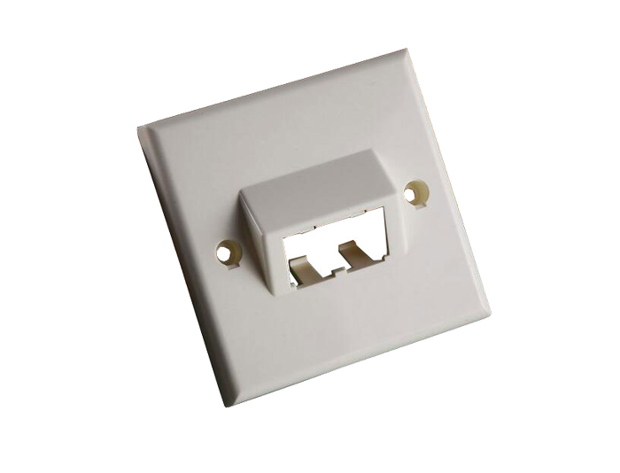 86x86 Type, Double Port, Angled CAT5 RJ45 Faceplate TSF-301F