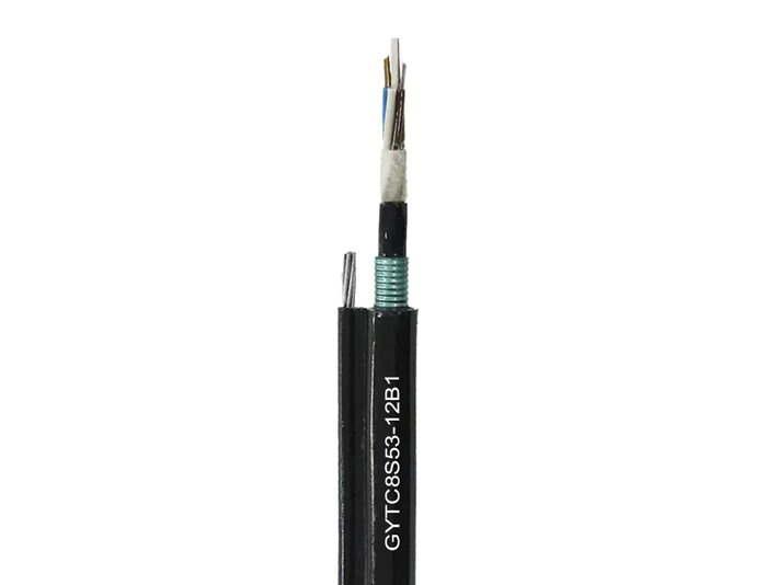 Figure 8 Double Armored Dual-Jacket Self-Supporting Aerial Fiber Cable | GYTC8S53